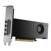 NVIDIA RTX2000 ADA Gen 16GB GDDR6 PCIe 4.0-Active Cool foto1